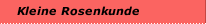 Kleine Rosenkunde